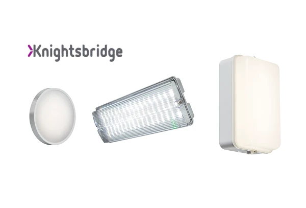 image 7 image 7